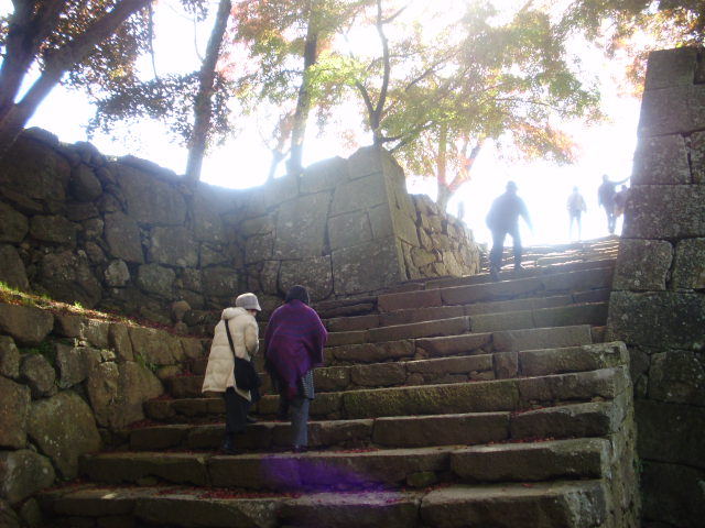 e0060041_10362333.jpg