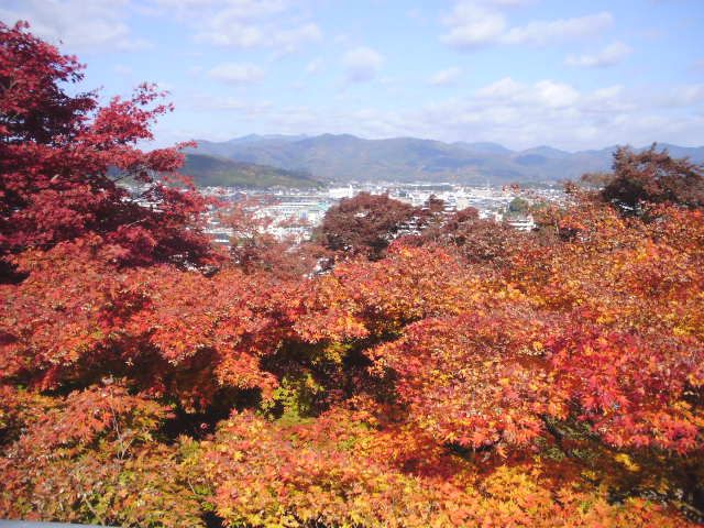 e0060041_10371011.jpg