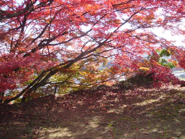 e0060041_10372492.jpg