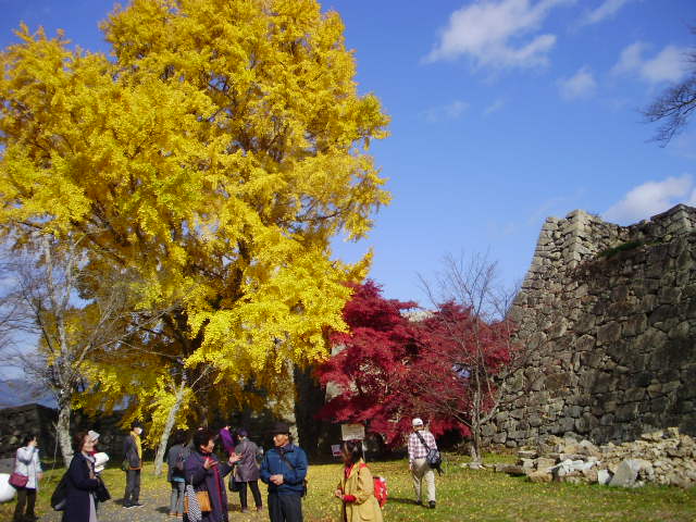 e0060041_10375722.jpg