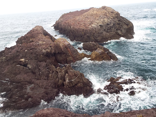 山口の角島へ_e0164643_22473864.jpg