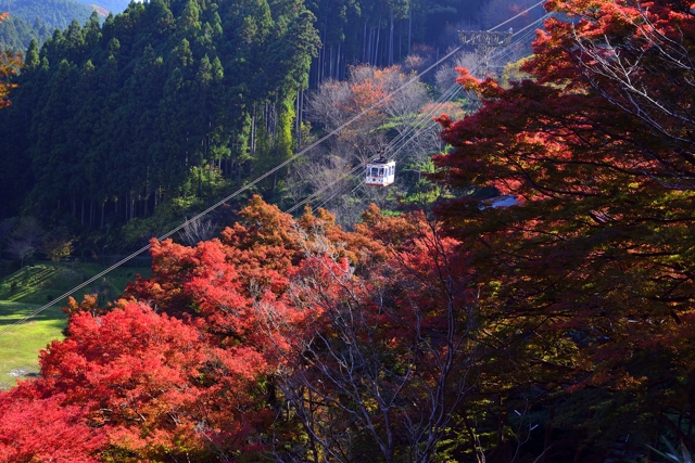 奈良 吉野山の紅葉 気ままな時間を ゆったりと