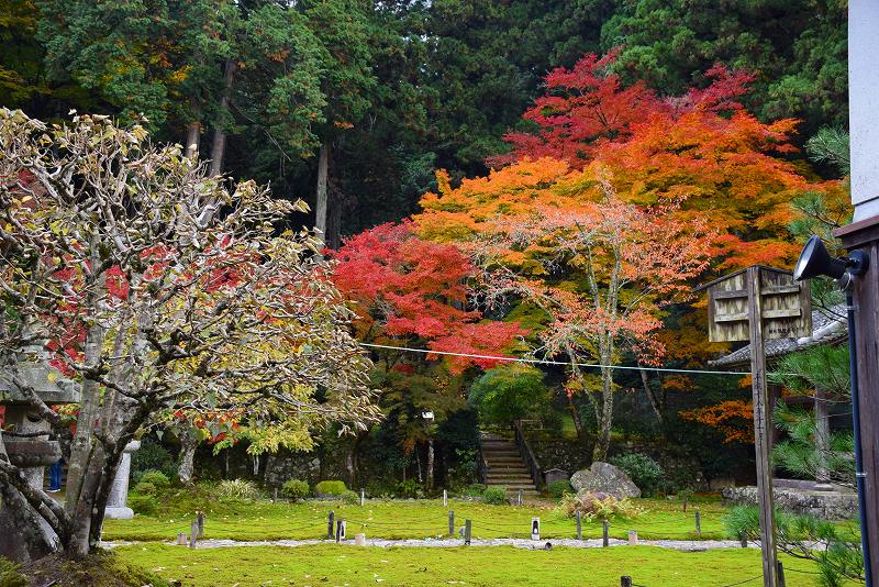 京都の紅葉⑦大原問答の『勝林院』20161115_e0237645_16344832.jpg