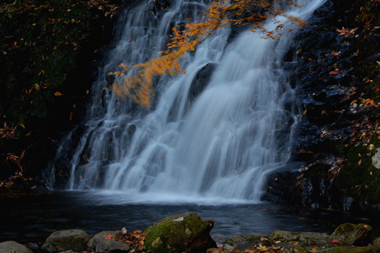 c0093046_8191851.gif