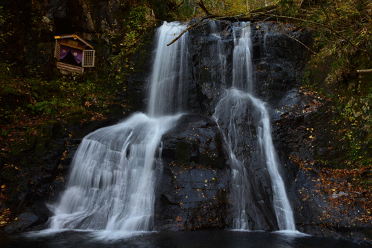 c0093046_819365.gif