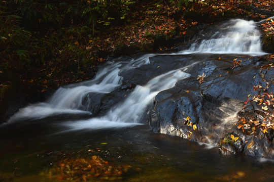 c0093046_8195883.gif