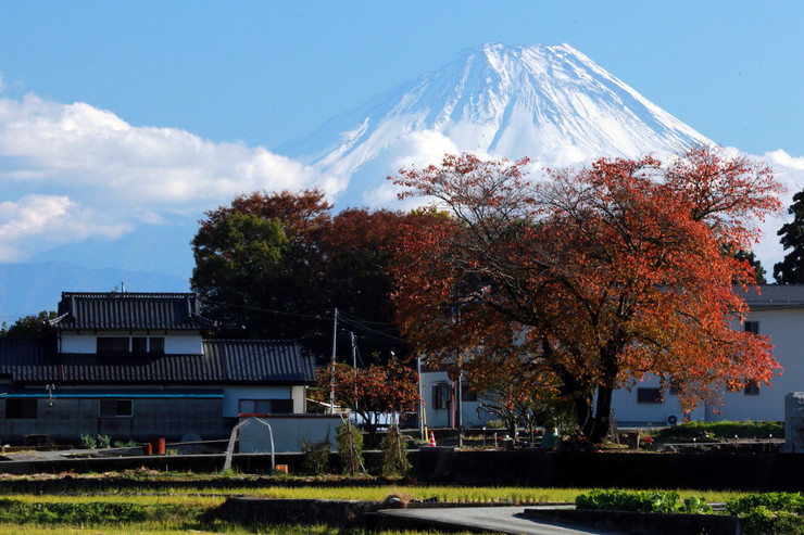 a0120949_6492525.jpg