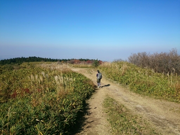b0148050_10080474.jpg