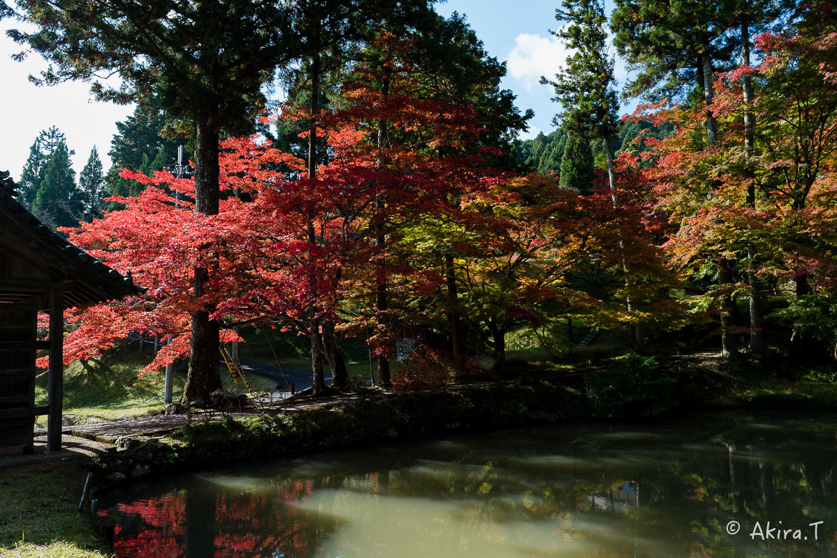 京都の紅葉 2016 〜2〜_f0152550_00020934.jpg