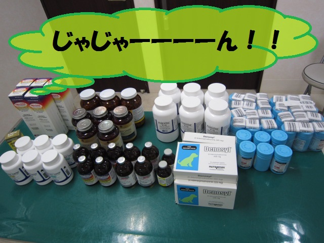 【院長が4日間お休みをいただいてました】_b0059154_16445381.jpg