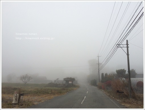 霧の朝。_b0319255_14563665.jpg