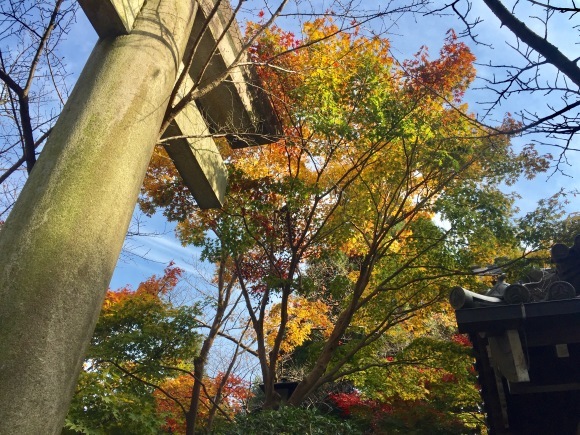 信貴山の紅葉_e0083155_22392750.jpg