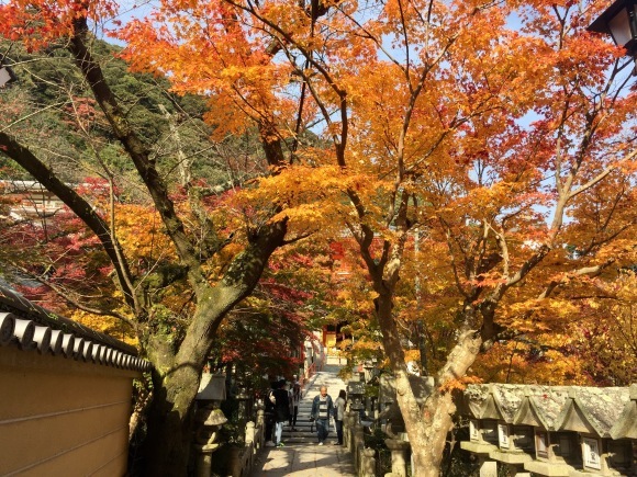 信貴山の紅葉_e0083155_22453299.jpg