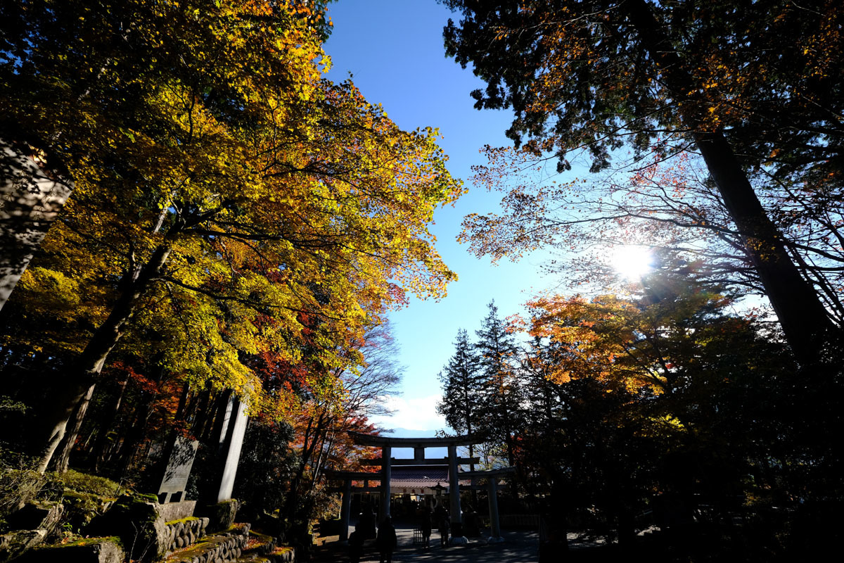 c0084666_21133662.jpg
