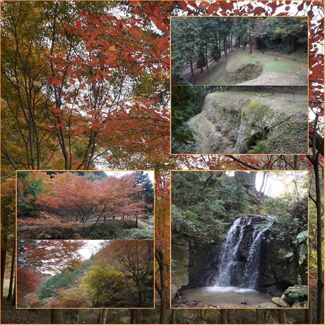 紅葉の四王寺山周回。_f0016066_22205845.jpg