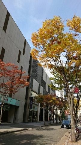 f0146466_22162454.jpg