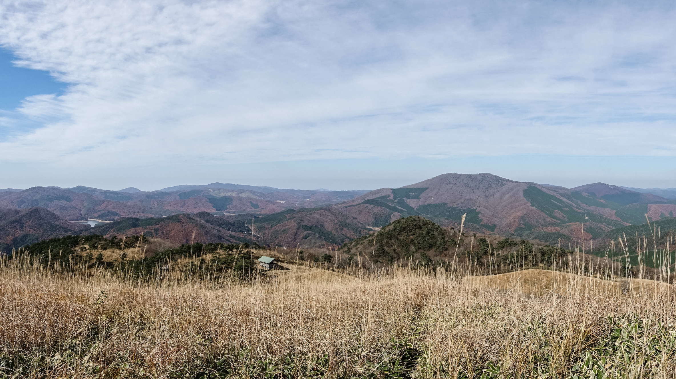 e0015567_111590.jpg