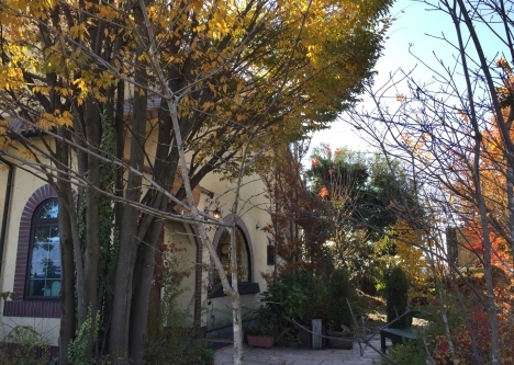 f0350468_19553864.jpg