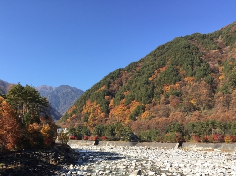 f0350468_20123960.jpg