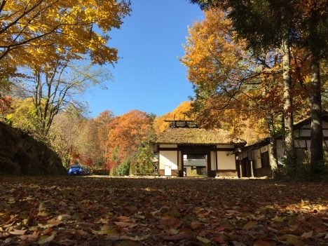 f0350468_20181644.jpg
