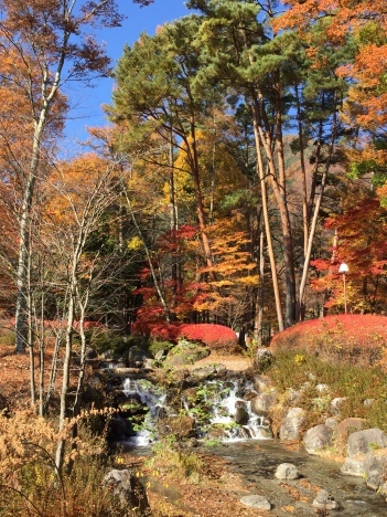 f0350468_20201343.jpg