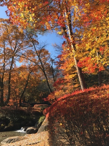 f0350468_20213535.jpg