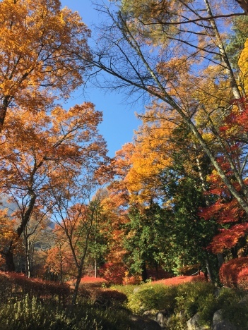 f0350468_20222301.jpg