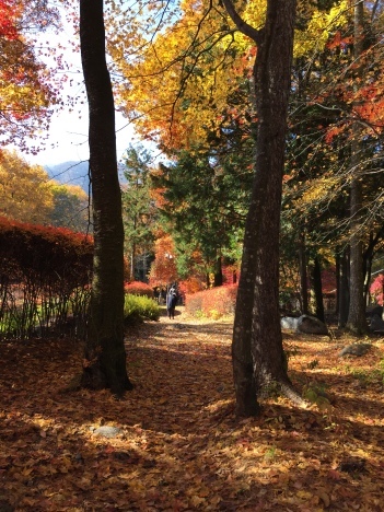 f0350468_20231644.jpg
