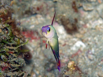 b0033573_20370923.jpg