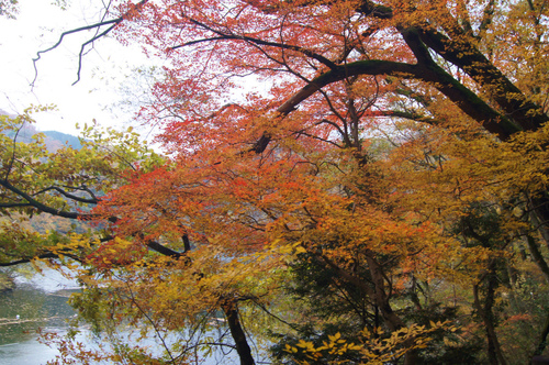 帝釈峡　１_e0181373_2142192.jpg