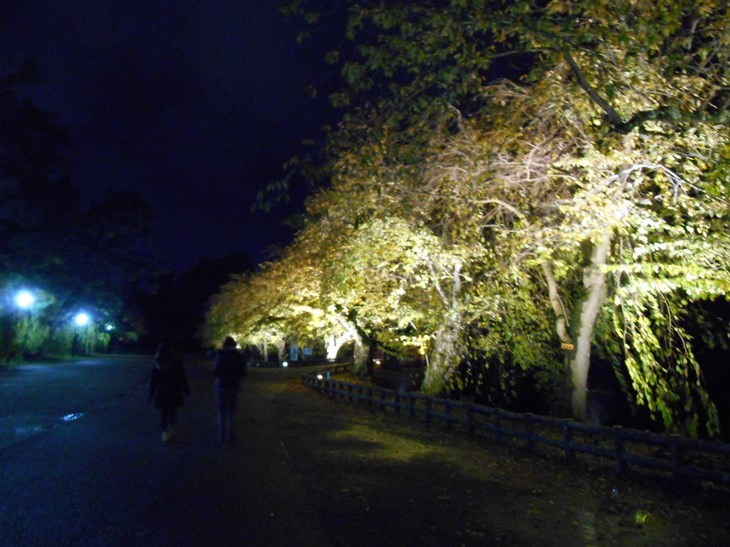 c0198781_20112309.jpg