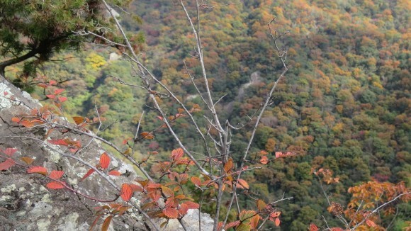 e0024081_17534079.jpg
