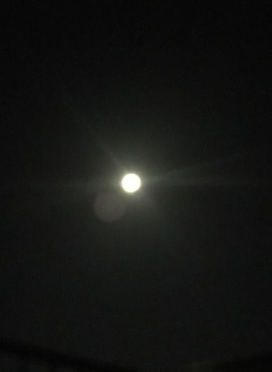 f0308082_16265723.jpg