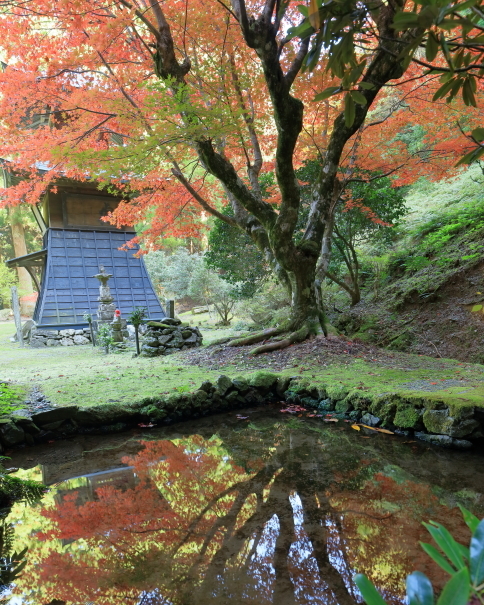 ・悲願寺・・・お気に入りの一枚_f0368583_07490087.jpg