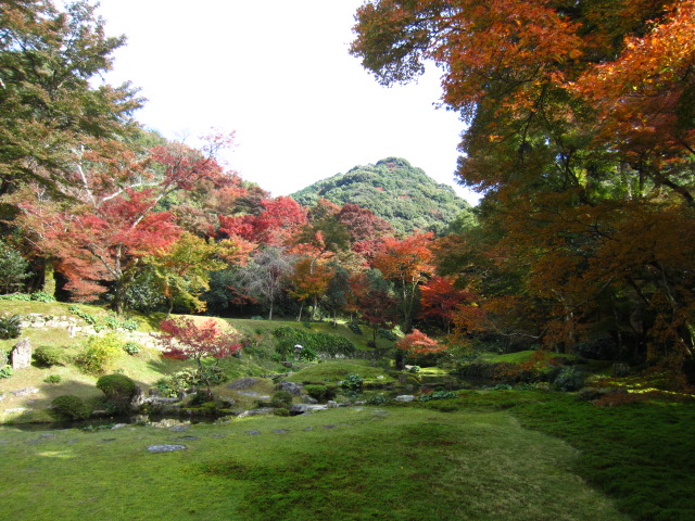 社寺・庭園巡り：「清水寺 本坊庭園」_f0202785_17453079.jpg