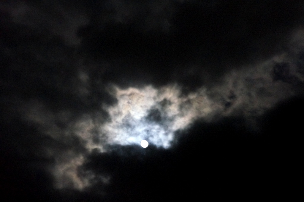 c0180686_10295500.jpg