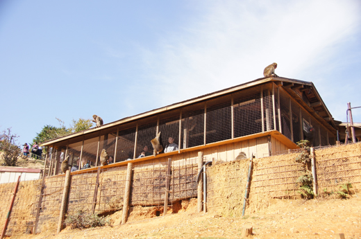 c0139591_045760.jpg