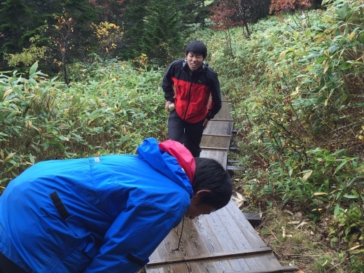 b0074992_15311333.jpeg