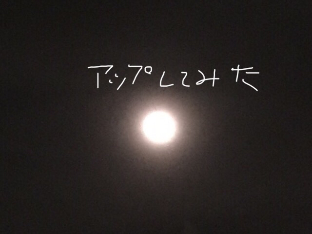 d0135694_22075769.jpg