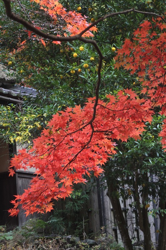 b0223198_20251343.jpg