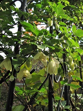 c0117898_20370334.jpg