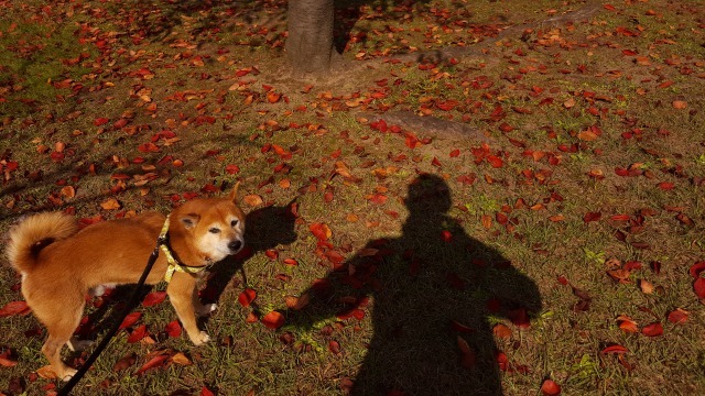 c0082800_00253882.jpg