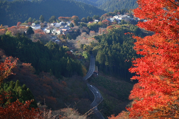 f0083400_21292245.jpg