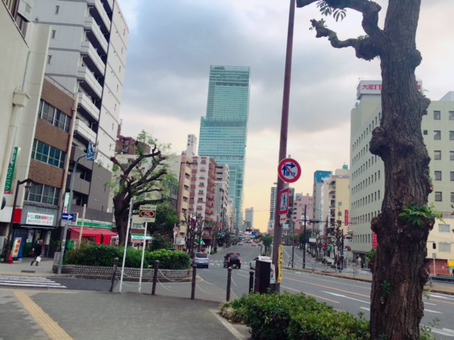 a0050302_3573641.jpg