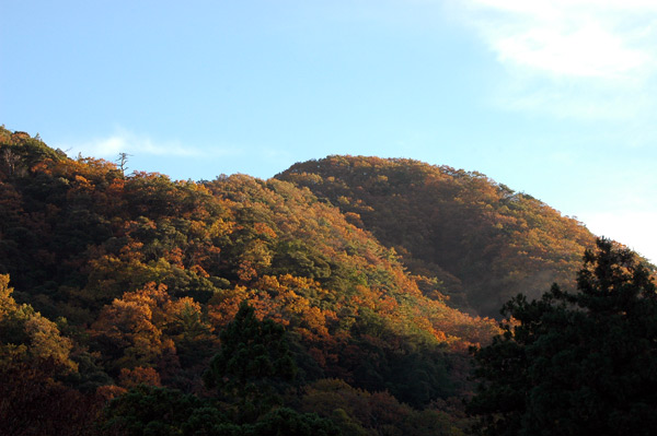 山中温泉の紅葉～まだまだいける♪_d0093903_837375.jpg