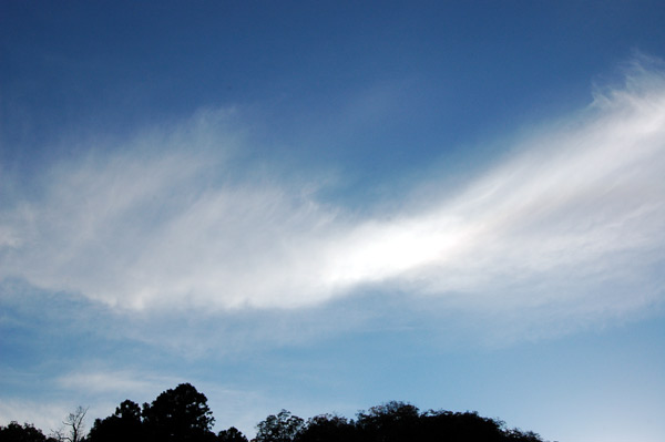 d0093903_8375323.jpg
