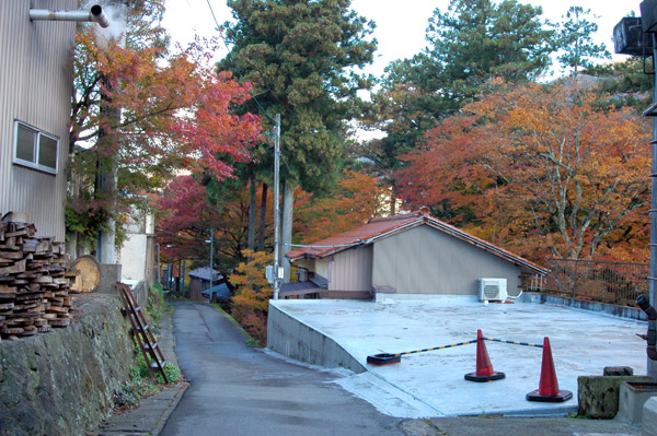 山中温泉の紅葉～まだまだいける♪_d0093903_8382242.jpg