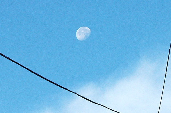 d0093903_8391145.jpg