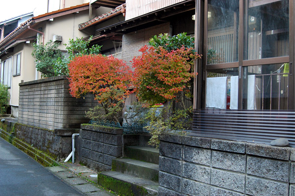 d0093903_8411141.jpg