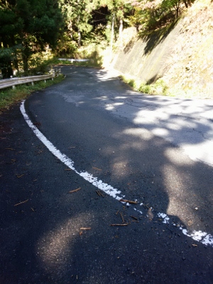 b0040606_194743100.jpg